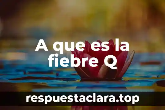 A que es la fiebre Q