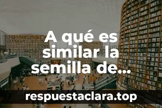 A qué es similar la semilla de maracuya