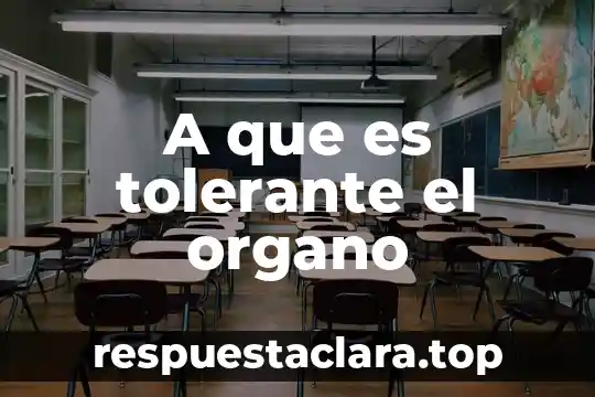 Qué es un divisor y concepto 6 A que es tolerante el organo