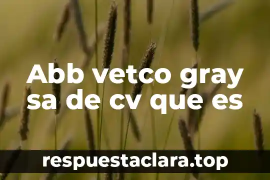 Abb vetco gray sa de cv que es
