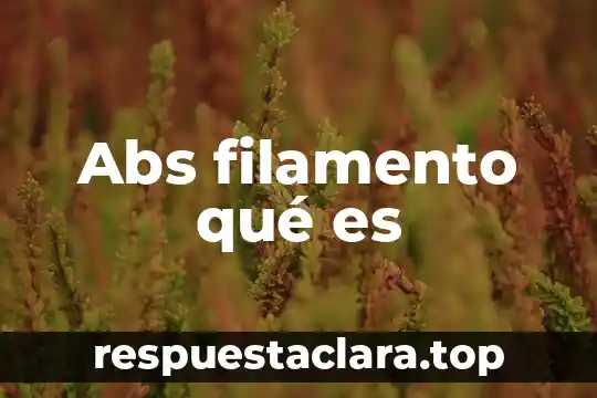 Abs filamento qué es