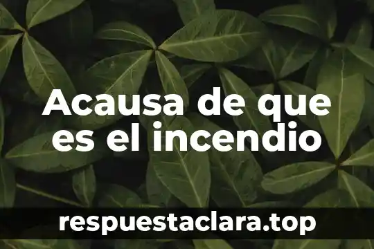 Acausa de que es el incendio