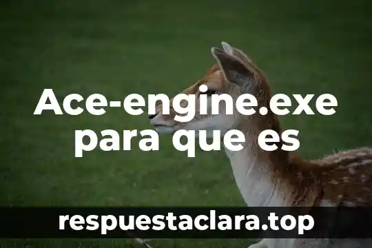 Yumbina unisex para que es 7 Ace-engine.exe para que es