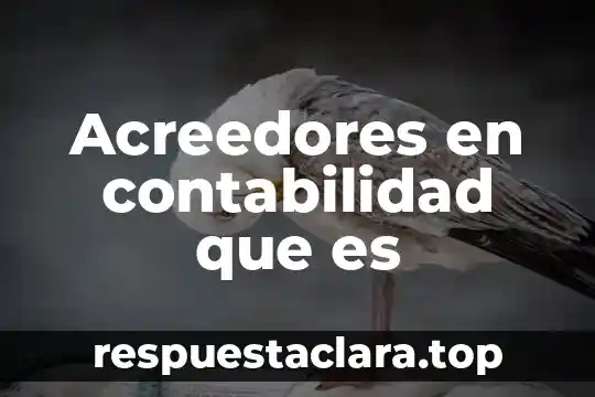 Acreedores en contabilidad que es