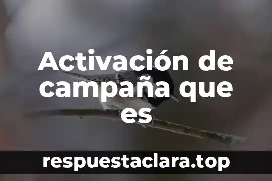 Activación de campaña que es