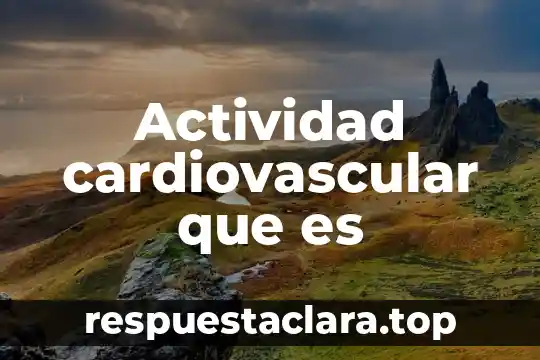 Actividad cardiovascular que es