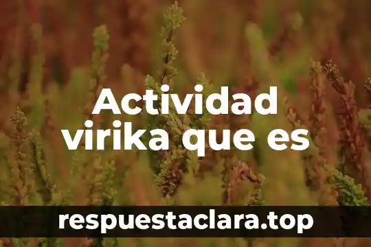 Actividad virika que es
