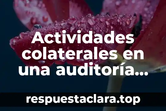 Qué es objetivos de auditoria de sistema 4 Actividades colaterales en una auditoría que es