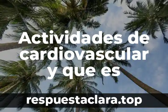 Actividades de cardiovascular y que es