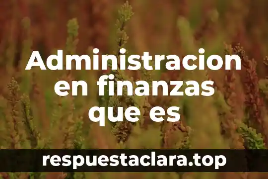 Administracion en finanzas que es