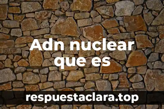 Adn nuclear que es