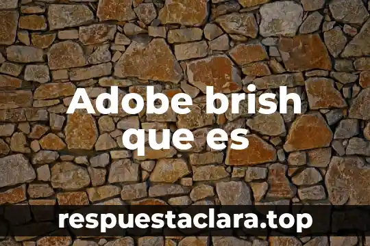 Adobe brish que es