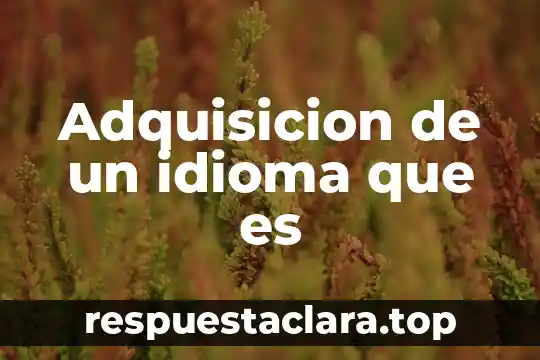 Por que es importante el idioma ingles mapa mental 5 Adquisicion de un idioma que es