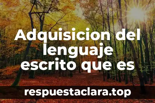 Adquisicion del lenguaje escrito que es