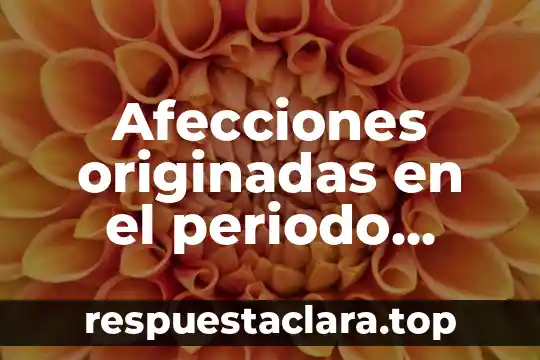 Por que es importante el periodo prefilosofico 3 Afecciones originadas en el periodo perinatal que es