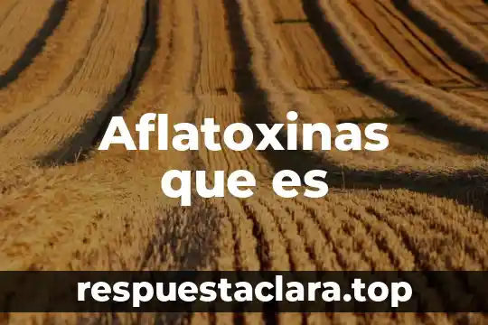 Que es papel torna sol 5 Aflatoxinas que es