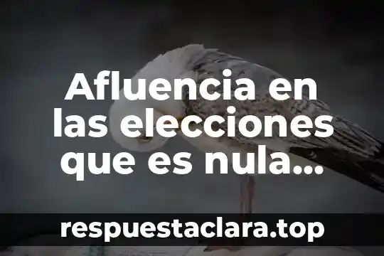 Afluencia en las elecciones que es nula copiosa