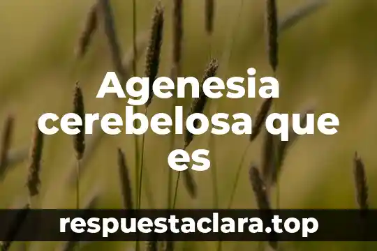 Agenesia cerebelosa que es