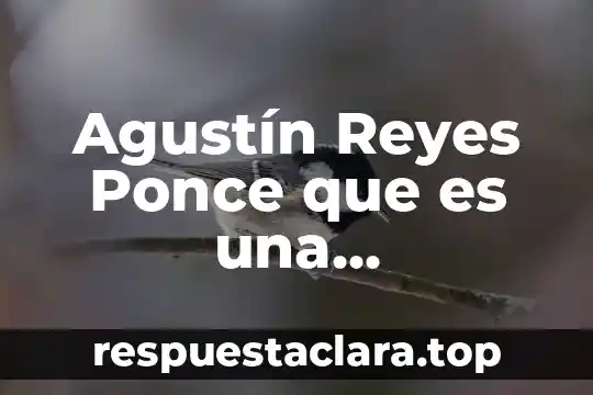 Agustín Reyes Ponce que es una organización
