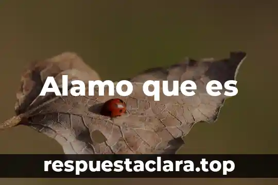 Adan Cruz lo que es mio single descargar 5 Alamo que es