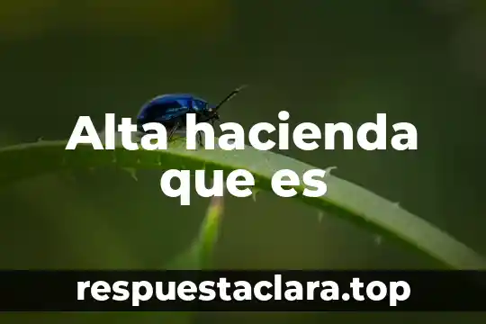 Invernaderos de alta tecnología que es 6 Alta hacienda que es