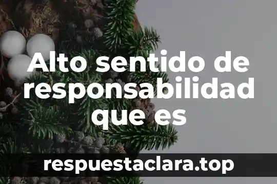 Alto sentido de responsabilidad que es
