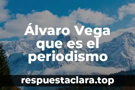 Qué es el patrimonio de un comerciante 4 Álvaro Vega que es el periodismo