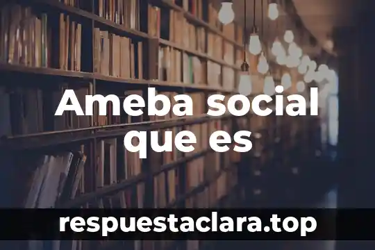 Qué es cartografía significado 5 Ameba social que es
