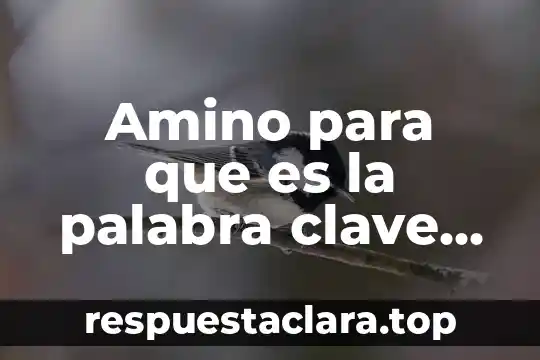 Amino para que es la palabra clave wiki