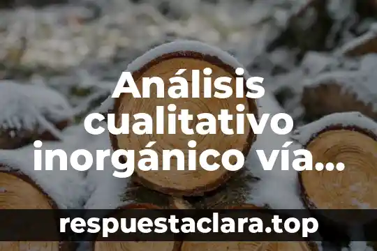 Análisis cualitativo inorgánico vía húmeda qué es