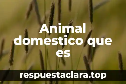 Animal domestico que es