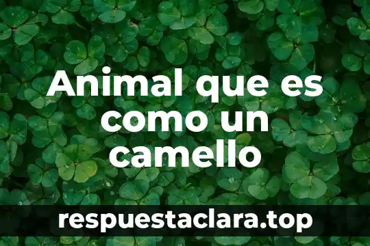 Que es un animal feral 7 Animal que es como un camello