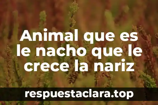 Que es la clonacion animal 3 Animal que es le nacho que le crece la nariz