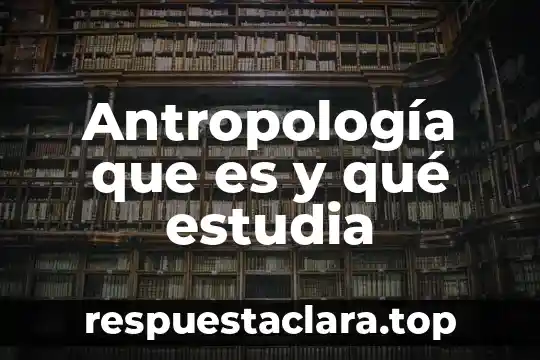 Qué es filosofía que estudia 8 Antropología que es y qué estudia