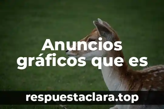 Anuncios gráficos que es