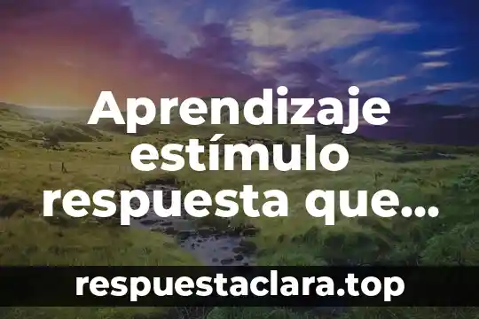 Qué es un estímulo periódico 7 Aprendizaje estímulo respuesta que es