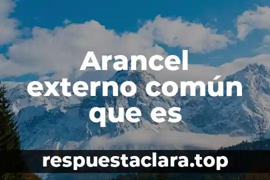 Arancel externo común que es