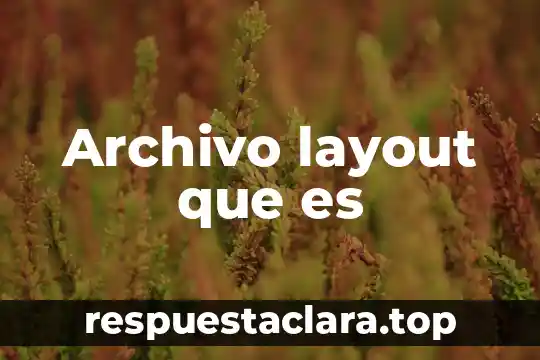Que es nombre de archivo 4 Archivo layout que es