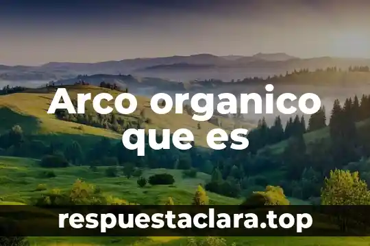 Que es el marco fisico de un proyecto 6 Arco organico que es