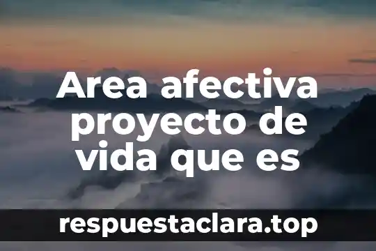 Area afectiva proyecto de vida que es