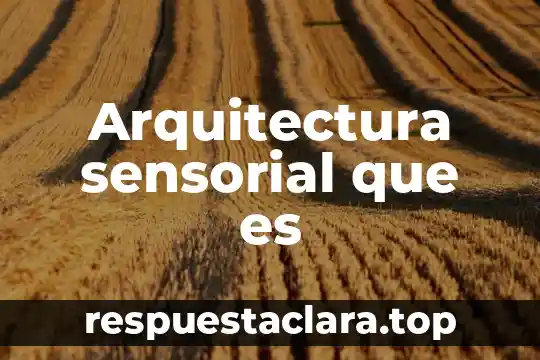 Arquitectura sensorial que es