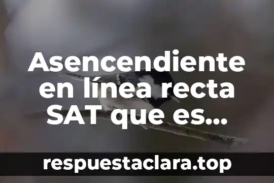 Asencendiente en línea recta SAT que es ante el SAT