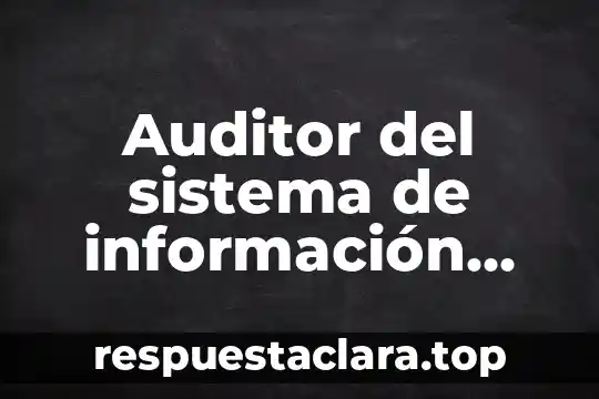 Que es significa informacion 5 Auditor del sistema de información que es
