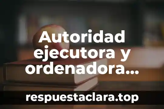 Que es una falacia de autoridad individual adverecumdiam 3 Autoridad ejecutora y ordenadora que es