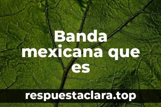 Banda mexicana que es