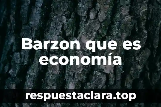 Barzon que es economía