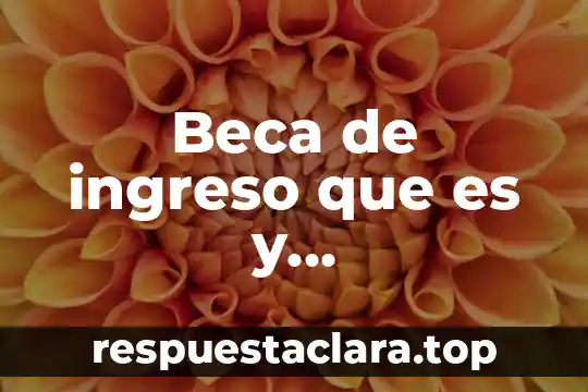 Beca de ingreso que es y caracteristicas