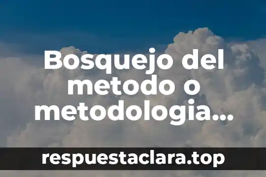 Bosquejo del metodo o metodologia de investigacion que es