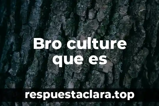 Qué es el pensamiento y características 4 Bro culture que es