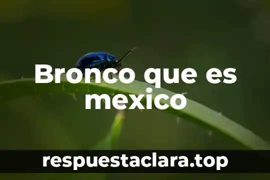 Que es el porgrama todos somos mexico 5 Bronco que es mexico